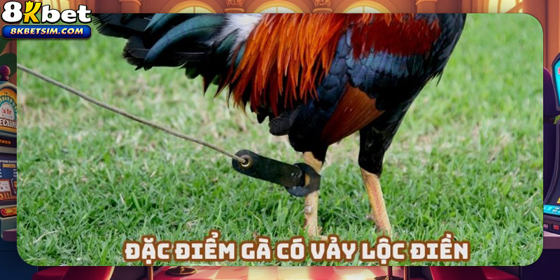 Chiến kê có vảy gà lộc điền có những đặc điểm khác biệt