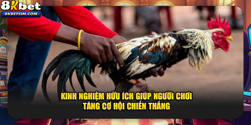 Tham khảo nhiều kinh nghiệm cũng như mẹo đánh cược hiệu quả từ cao thủ