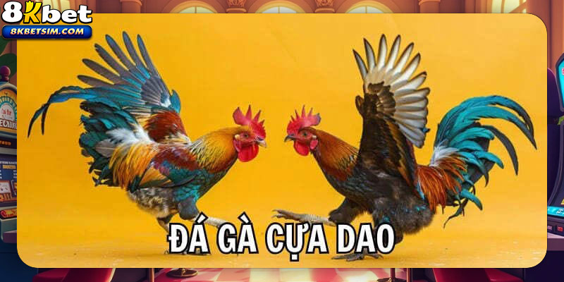 Đá gà cựa dao vẫn là cái tên phổ biến được nhiều người chơi ưa thích
