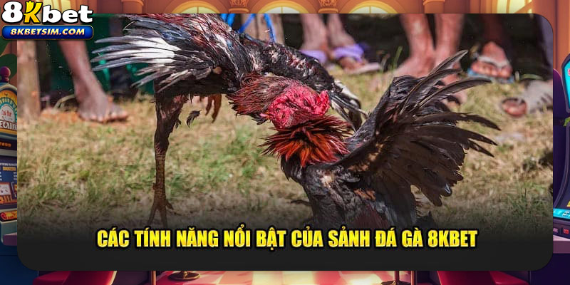 Vô số ưu điểm tạo nên giá trị thương hiệu hàng đầu của sân chơi