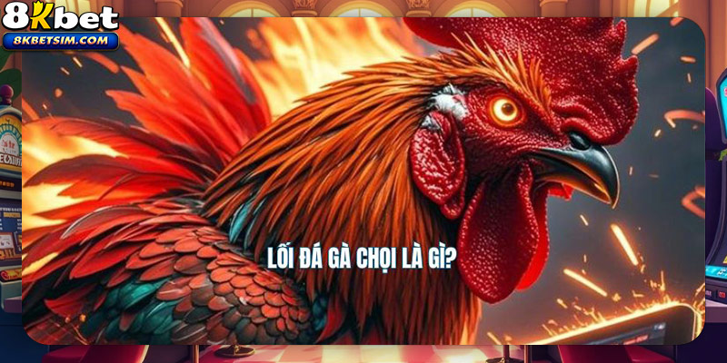 Lối đá gà chọi là gì?