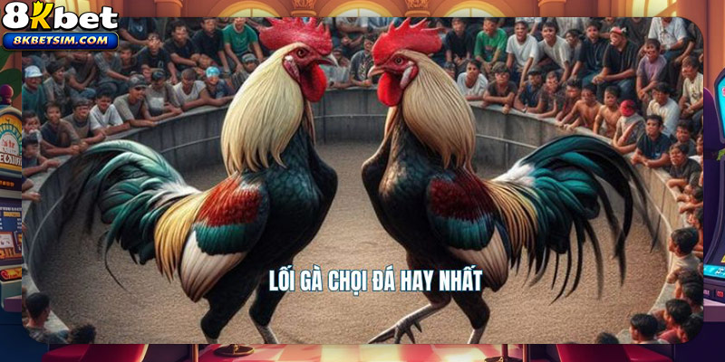 Lối gà chọi đá hay nhất