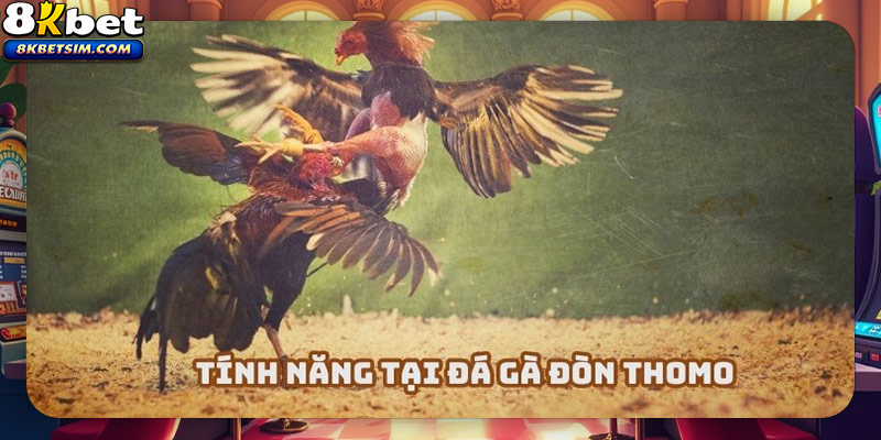 Những tính năng nổi bật trong trực tiếp đá gà đòn Thomo