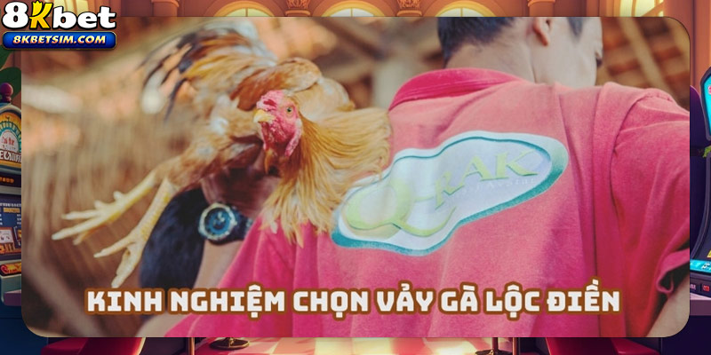 Vận dụng những kỹ năng chọn vảy gà lộc điền hiệu quả